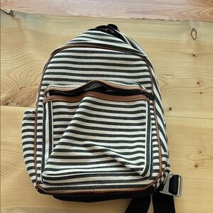 Thirty-One Blue and white thermal snack bag.